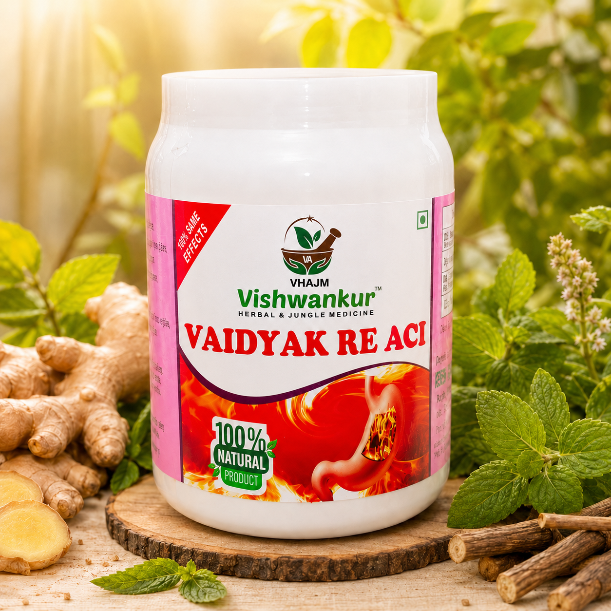 ChatGPT Image May 17, 2026, 01_36_02 PM Vishwankur RE - ACI | Ayurvedic Digestive Wellness Support - Image 1